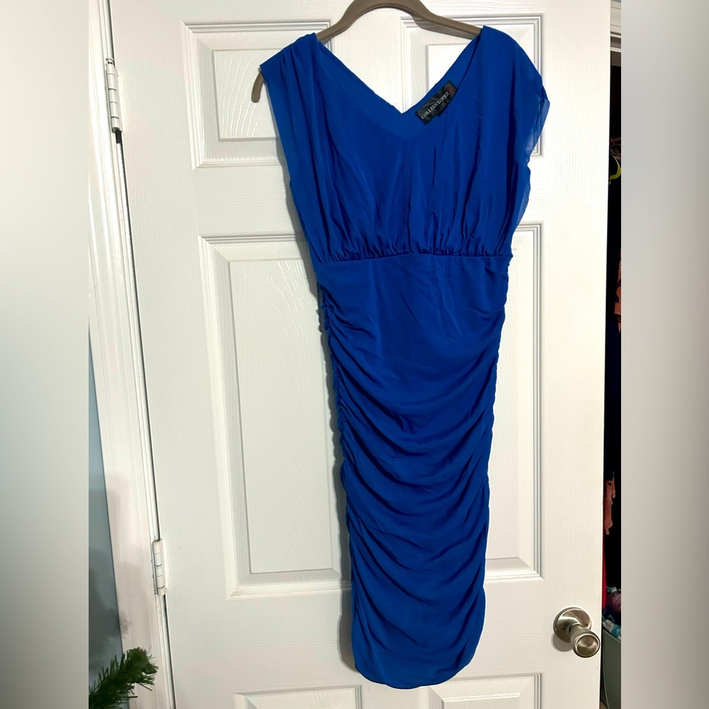 Danielle Lopez fitted dress